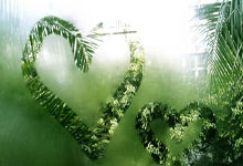 开云体育官方登录入口-包含热辣对决，欧洲杯资格赛成为球迷焦点的词条