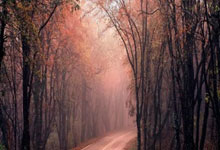 国内足球职业联赛赛程曝光：强队对决！