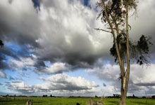 战术布局大胆革新，胜利在望，球队信心满满