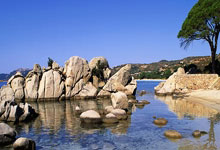 伊巴卡绝杀，猛龙主场大获胜利